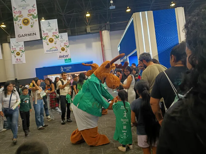 Servicio de Recolecciones Pao · foto 1