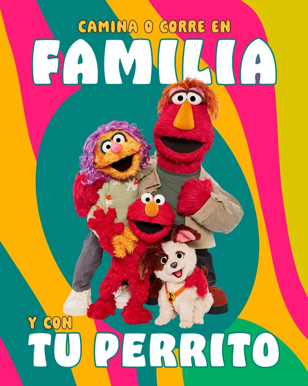 Carrera Elmo · foto 2