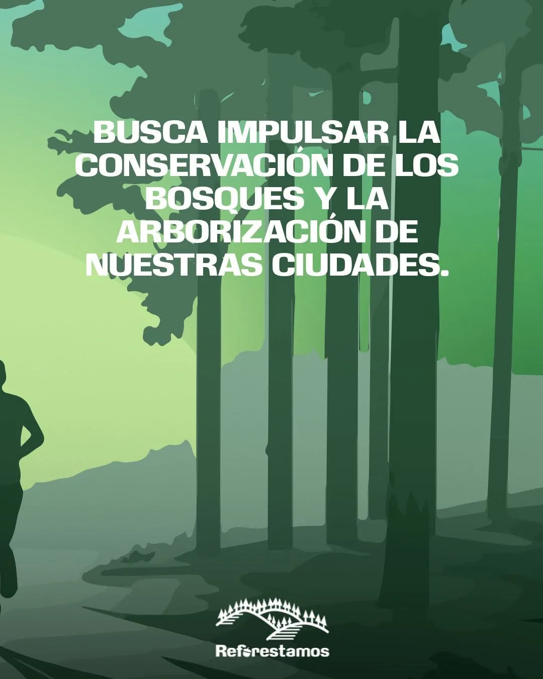 Carrera Más Árboles, Más Bosques · foto 3