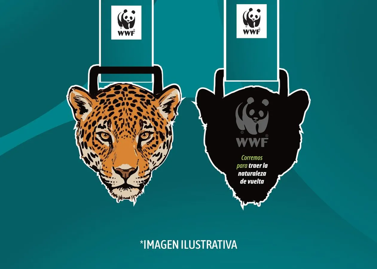 Carrera Panda - Edición Jaguar WWF México · foto 1