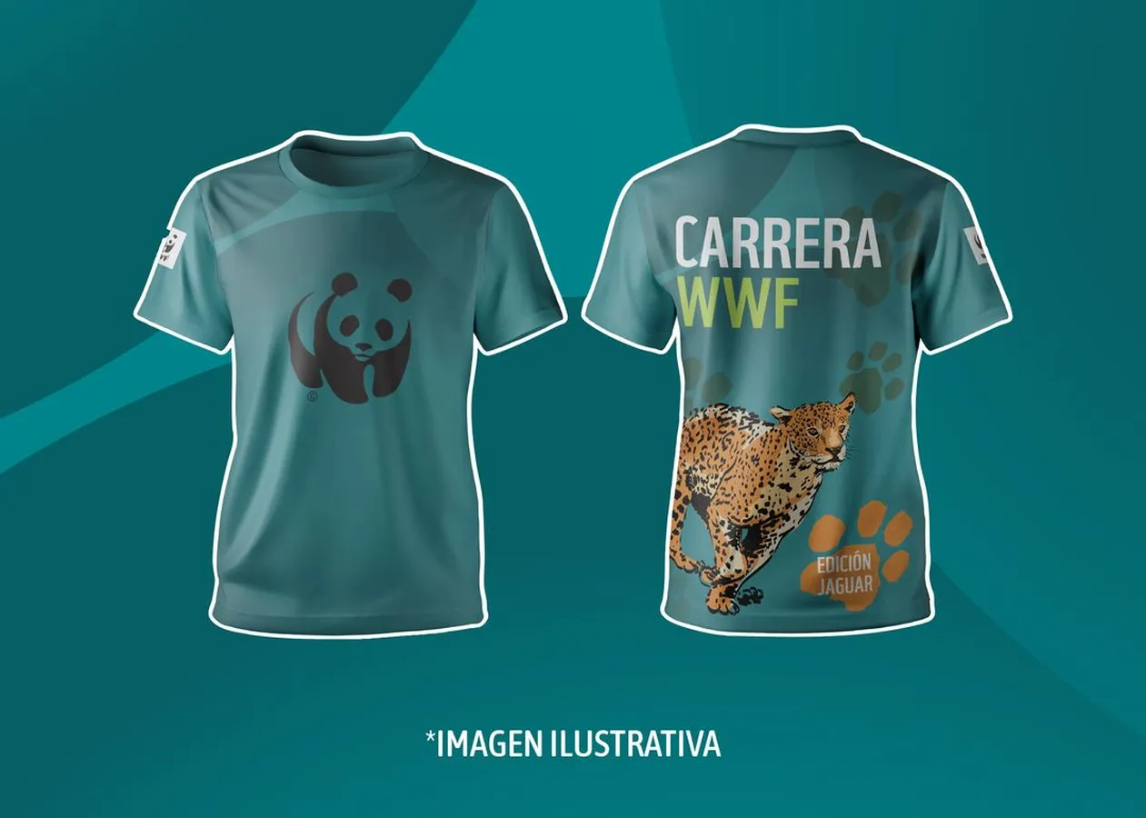 Carrera Panda - Edición Jaguar WWF México · foto 2