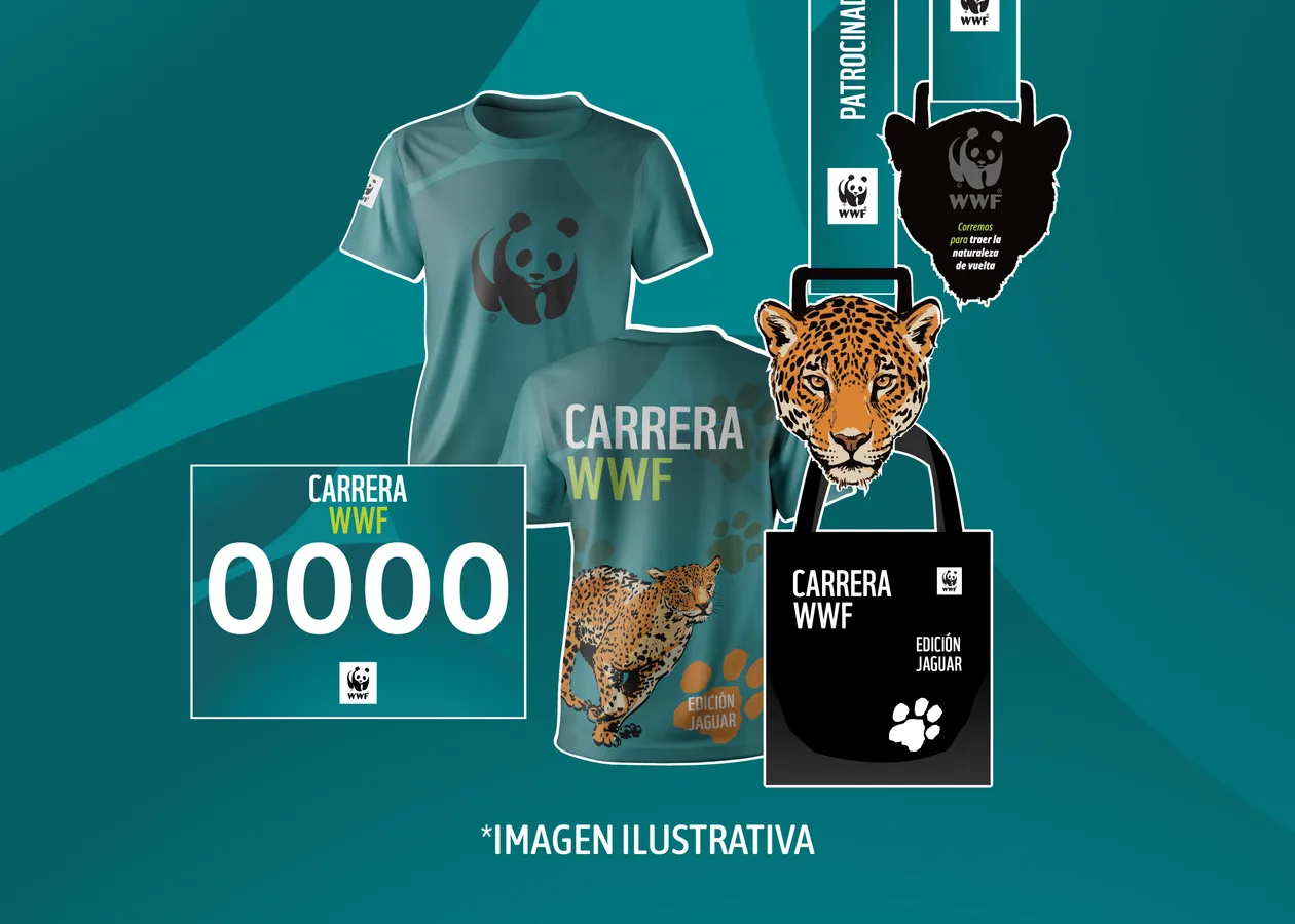 Carrera Panda - Edición Jaguar WWF México · foto 3
