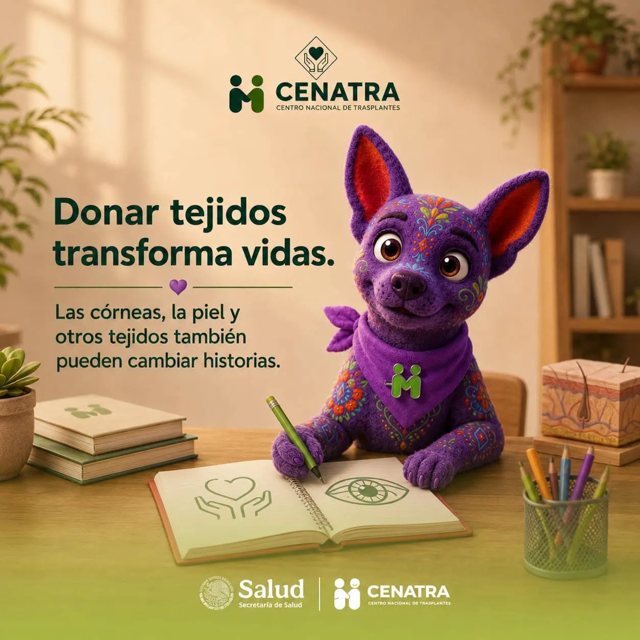 2da Carrera Por un Mexico Sin lista de Espera · foto 2