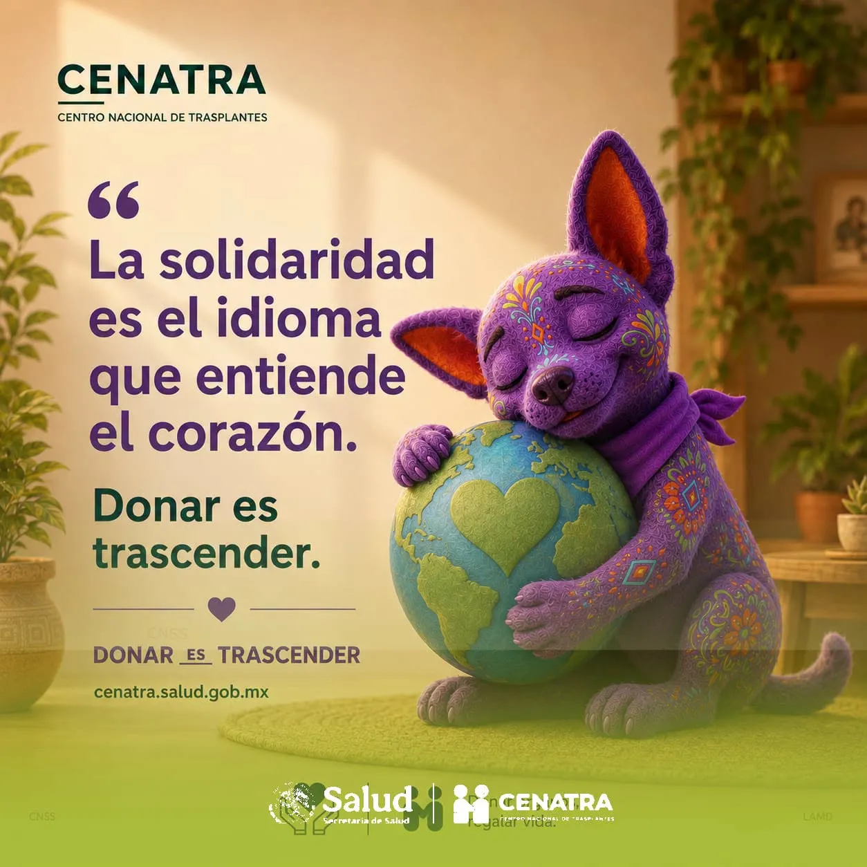 2da Carrera Por un Mexico Sin lista de Espera · foto 4