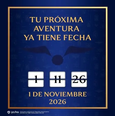 Imagen de Harry Potter Quidditch Fun Run