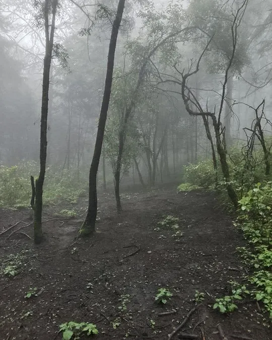 La Ruta del Nahual 2.0 · foto 5