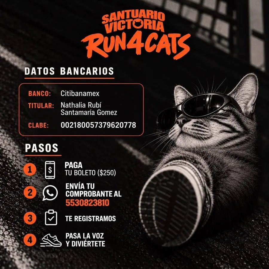 Santuario Victoria: Run 4 Cats · foto 2