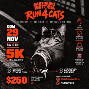 Imagen de Santuario Victoria: Run 4 Cats