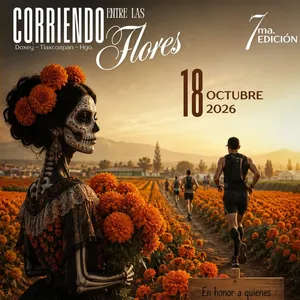 Imagen de Corriendo Entre Flores
