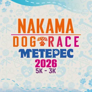 Nakama Dog Race