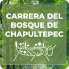 Carrera del Bosque de Chapultepec 2025 cdmx