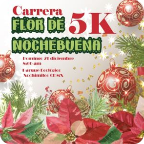 carrera flor de nochebuena 2025 cdmx