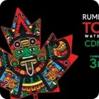 Rumbo a tcs toronto waterfront marathon cdmx 2025